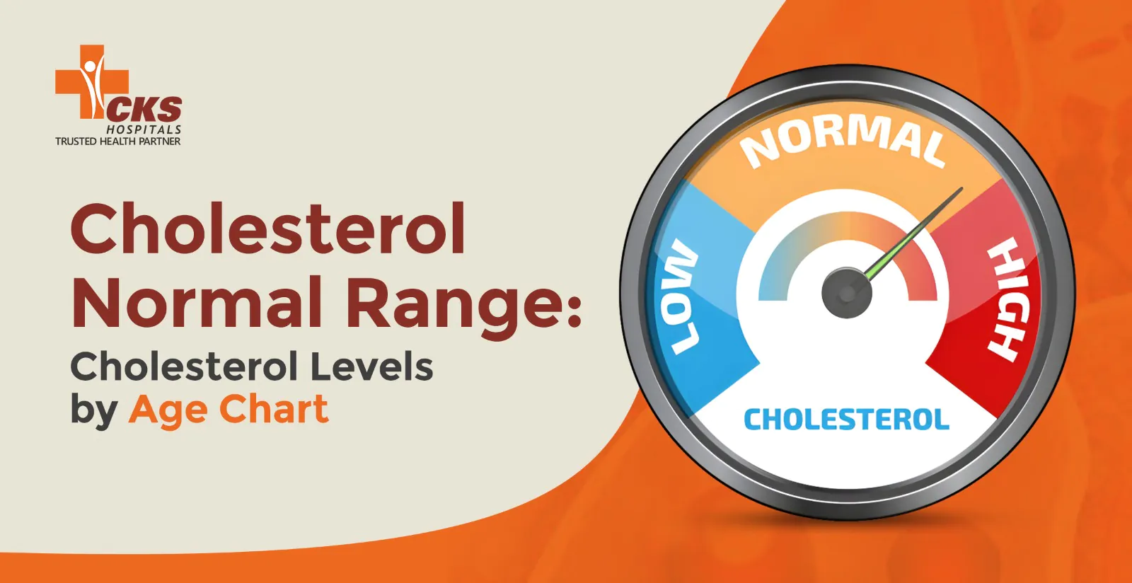 Cholesterol Normal Range: Cholesterol Levels by Age Chart